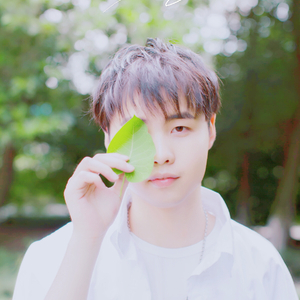 黄片男女操逼大全免费视频观看
