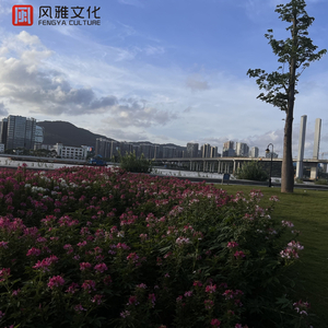 黄片男女操逼大全免费视频观看
